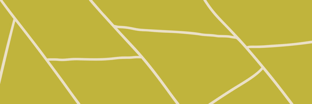 Farm plantation for agriculture view vineyard and pattern field top.