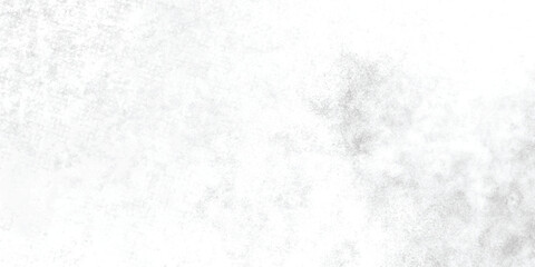 Obraz premium Gray Speckle Pattern on White Background – Subtle Grunge Paper Texture, Abstract Marble Stucco Wall Surface with Scattered Dots and Messy Distressed Effect