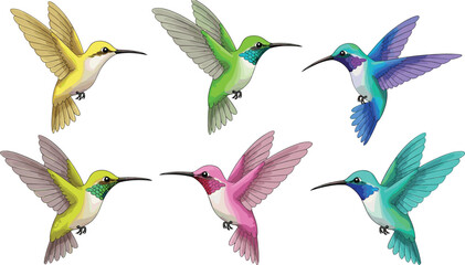 Colorful Hummingbird Vector Set with Flying Tropical Birds in Different Colors Detailed Wildlife Illustration Collection for Nature, Garden, and Exotic Animal Designs © Sumon Creative