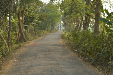 Fototapeta premium Rural road in the countryside in the village of Bangladesh