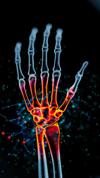 Luminescent Hand Skeleton: A Glowing Exploration of Bones and Joints