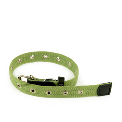 Durable Green Canvas Dog Collar with Metal Buckle and Eyelets