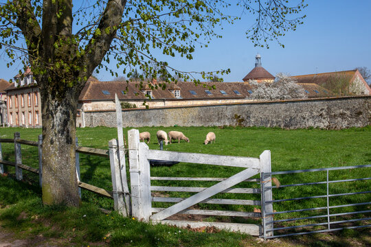 Bergerie Nationale - Rambouillet - Yvelines - Ile-de-France - France