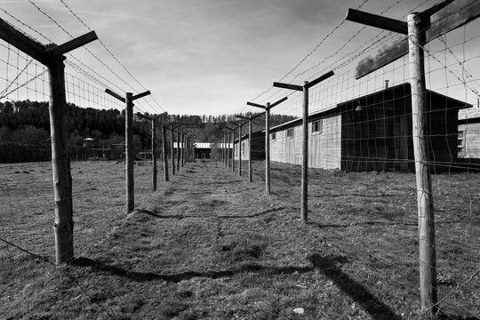 Gulag of Dima, Bizkaia, Pais Vasco, Spain