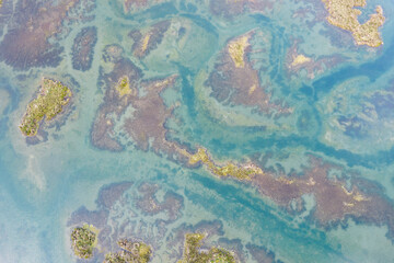 Fototapeta premium Marsh in Santona bay, Laredo, Cantabria, Spain