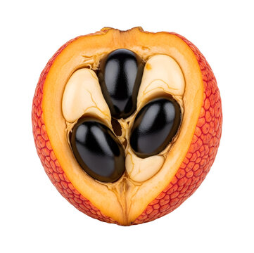 Achiote fruit cut open showing seeds transparent background