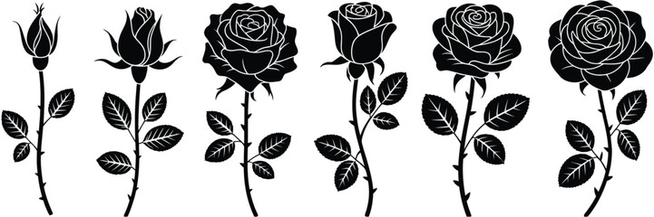 set of decorative rose with leaves, flower silhouette vector illustration isolated on white background for floral design, wedding invitations, tattoo ideas, greeting cards, romantic decorations and bo © MSTFARIDA