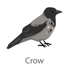Fototapeta premium Flat vector illustration of a crow in side view. Black corvid bird isolated on a white background.