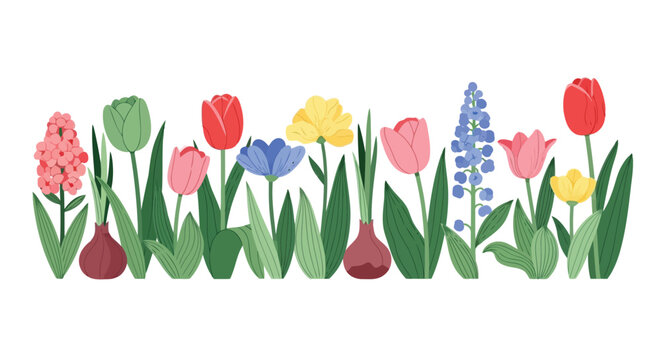A cheerful horizontal border displays an assorted collection of vibrant spring bulb flowers including tulips, hyacinths, and muscari against a white background.