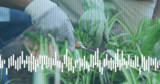 Gloved hand with trowel on contact, scooping to secure plant in garden, overlay scanlines or wavefor