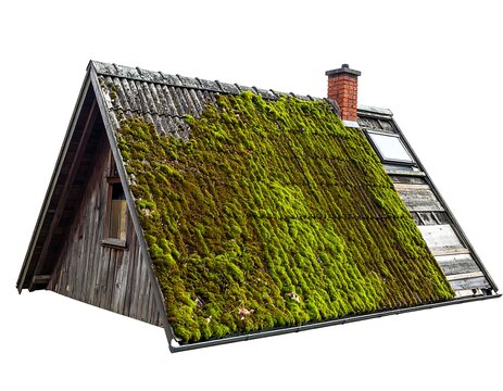 Old wooden A-frame building with moss-covered roof against a white background, showcasing weathering and age