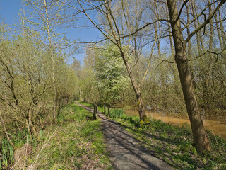 Hiking trail along spring trees and bridge near Schoonaarde, Flanders, Belgium 