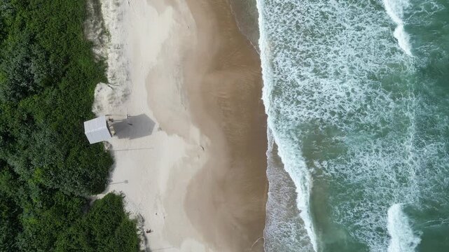 Tropical Beach Summer Ocean Island Landscape Outdoor Adventure Scenic Travel Destination Wind Kitesurfing Water Sports Restinga Coast Campeche Florianopolis Brazil South America