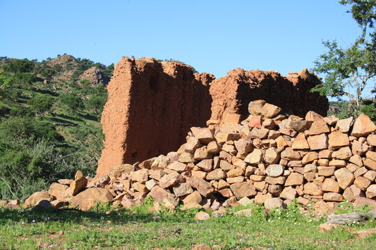 Old clay and stone houses in the Little Atlas Mountains, surrounded by argan trees and wild grasses, reflecting rural life and history near Arbaa Sahel, Tiznit, Morocco. Photo taken Feb 15, 2026. 