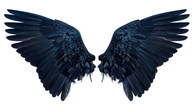 Inner Demon Shadow Wings Mockup. Demon Black wings isolated on transparent background