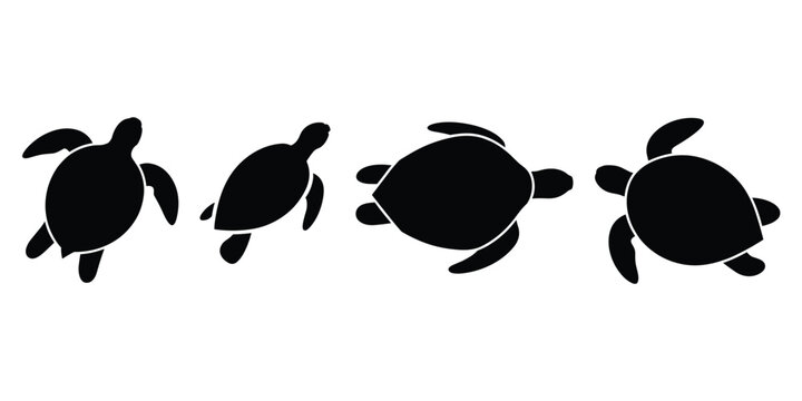Four Black Silhouettes of Sea Turtles from Above on White Background marine life animal