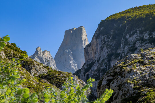 Impresionante vista del Pico Urriellu destacando entre desfiladeros y laderas verdes bajo un cielo despejado en el Parque Nacional de los Picos de Europa.