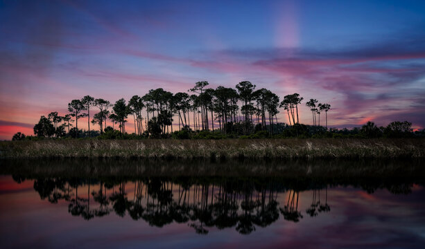 Saint Marks Wildlife Refuge in Tallahassee, Florida