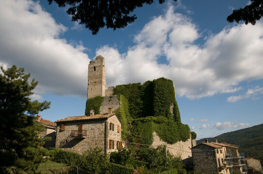 Italy, Tuscany, Pierle.  Featuring the ruin "Rocca di Pierle"