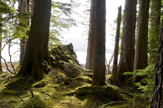 Canada, BC, Queen Charlotte Islands, Gwaii Haanas National Park Reserve