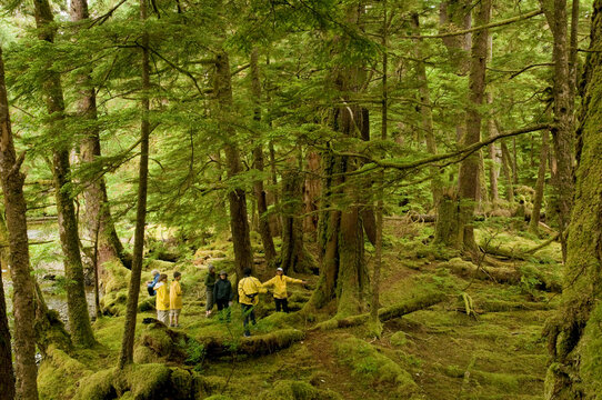 Canada, BC, Queen Charlotte Islands, Gwaii Haanas National Park Reserve.  Windy Bay (hlk'yah Llnagaay).