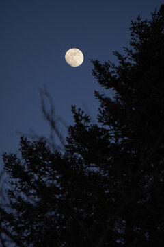 Vollmond