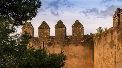 Historic Gibralfaro stone castle wall with crenellated battlements bathed in warm dusk light, framed by pine trees and a dramatic cloudy sky, Malaga, Spain © Roman Milert