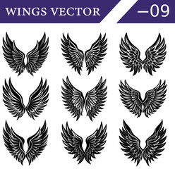 Collection of nine distinct black and white of feathered wings in various symmetrical arrangements and styles set against a clean white background with a dark purple header indicating WINGSV