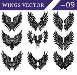 A compilation of nine individual black and white featuring different styles of feathered wings, each with intricate detailing and symmetrical forms, displayed on a white background with a dark