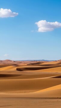 Vertical video: Sand dunes shifting under clouds drifting in desert, revealing rippled foreground