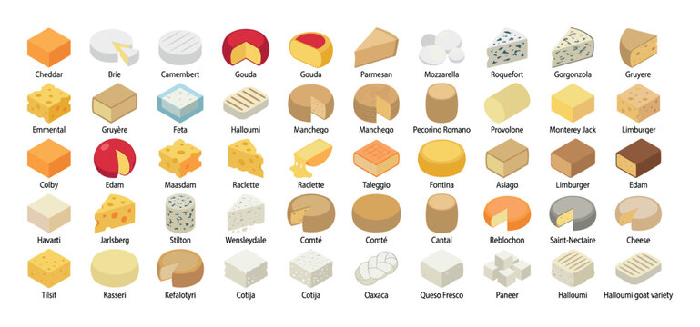 Collection of isometric cheese types displayed in a grid with labels