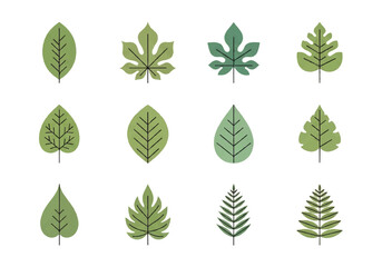 Vector flat design illustration of twelve different green leaves arranged in rows on a white background.