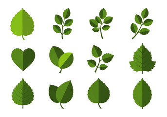 Fototapeta premium Vector flat design illustration of various green leaves on a white background, showcasing different shapes and types in a simple, graphic style.