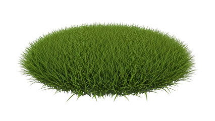 A lush green grassy patch with vibrant and well-maintained natural appearance