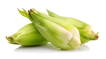 Fresh Unhusked Baby Corn Cobs Isolated on White Background.