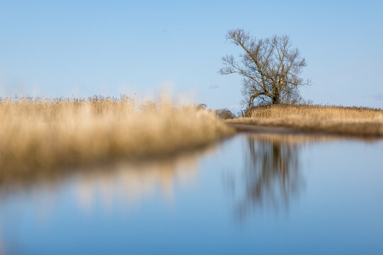 floodplain