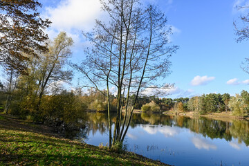 Nature landscape with lakes and pine trees woods near Veldhoven and Waalre, Kermpen forests, walking in autumn, North Brabant, The Netherlands