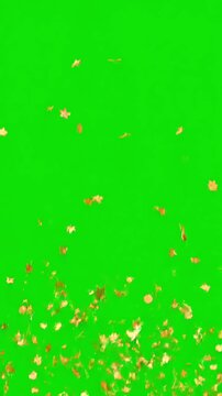 Celebratory Effect with 4k cracker golden confetti animation on green screen distortion, overlay, glitch, static noise, scan lines black background, animated video loop