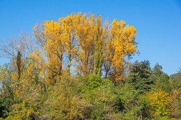 Autumn Landscape around Pancharevo lake, Bulgaria