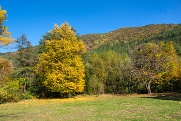 Fototapeta premium Autumn Landscape around Pancharevo lake, Bulgaria