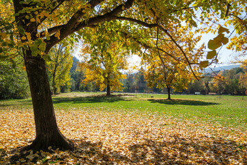 Autumn Landscape around Pancharevo lake, Bulgaria