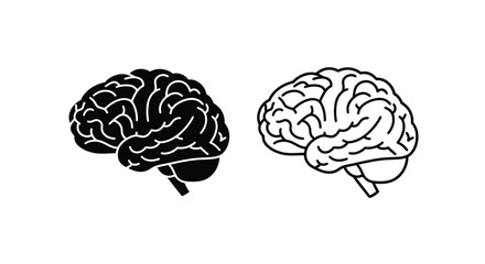 Brain diagram comparison Vector