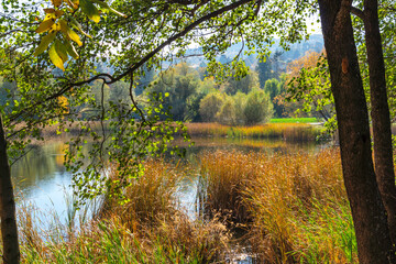 Autumn Landscape around Pancharevo lake, Bulgaria