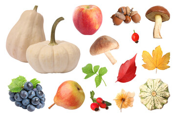 Autumn season collage with pumpkins and other gifts of fall on white background