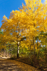 Obraz premium Autumn Landscape around Pancharevo lake, Bulgaria