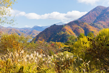 Fototapeta premium 日本の風景・秋 福島県裏磐梯 紅葉の五色沼湖沼群 