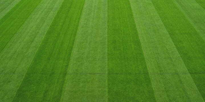 Freshly mown lawn with distinct stripes of varying green shades visible