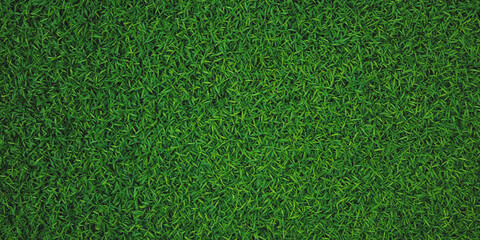 Lush green grass texture fills the frame creating a vibrant natural background © Nasrin
