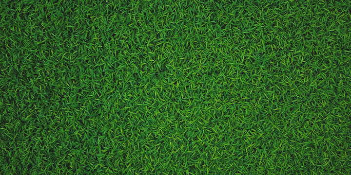 Lush green grass texture fills the frame creating a vibrant natural background