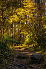 日本の風景・秋　福島県裏磐梯　紅葉の五色沼湖沼群　　